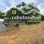 Bán đất nền ở bắc bình thích hợp làm nhà yến, hoặc nông trại. giá đầu tư chỉ 599tr cho 3818m2