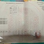 Bán nhà mặt phố tại xã hồng bạch, đông hưng, thái bình, 2,3 tỷ, 181,6 m2 view đẹp uy tín