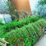 Bán suất ngoại giao biệt thự flamingo đại lải 180m2 đủ nội thất sổ đỏ lâu dài giá 10.5 tỷ