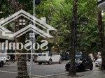Bán toà văn phòng 11 tầng, mặt phố khu vực vip - q.hai bà trưng, mt khủng gần 7m. chỉ 190 tỷ