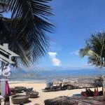 Nhanh tay sở hữu lô đất mặt tiền đường 10m5 chính hữu sơn trà đà nẵng giáp biển