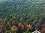 Chính chủ gửi bán: dinh thự rừng phong lá đỏ độc bản tại hà nội cho giới tinh hoa