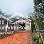 Bán 1634,7m2 thôn đồng chư, xã thành công, huyện thạch thành, thanh hóa, giá chỉ 781 triệu
