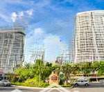 Ms thủy dic! tổng hợp những căn hộ dic phoenix 1 - 2 - 3 phòng ngủ đang bán t4/2025
