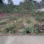 đất cự khối dt 30 m2 mt 4.2 m. 3 tỷ. ô tô vào đất