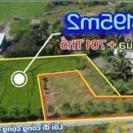 2400m2 đất 3 mặt tiền đường ( có 700m2 thổ) xã tân lân, cần đước giá 4 tỷ