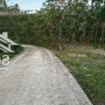 1 mẫu cao su minh thành 71m mặt tiền đường 36