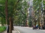 Bán nhà mặt phố trúc bạch, dt 40m2 x 5 tầng, mặt tiền 14m, view hồ, lô góc, giá 35 tỷ.