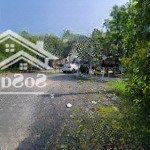 Cho thuê 1500m2 đất mặt tiền ngô quang thắm có sẳn mặt bằng và 5 phòng, sân vườn
