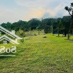 E có từ 1000 đất vườn giá rẻ tại đông xuân, quốc oai chỉ cách bigc 35km cho các bác yêu thích làm v