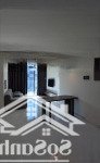 Cho thuê căn hộ diamond centery-celadon city 2pn+1 -2wc, full nội thất xịn 24tr/tháng, nhà mới 100%