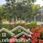 The pearl riverside, nguyễn văn tuôi, bến lức, 12 tỷ vnd