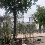 Bán đất dương nội - hà đông, view vườn hoa, cạnh siêu thị aeon mall, 50m2, giá hơn 11 tỷ