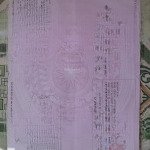 Bán đất mặt tiền đường đê củ thuộc xã an thới đông huyện cần giờ tphcm