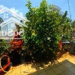 Mt cũ tiện xây mới 7 tầng spa thẩm mỹ vp. 70m2 (4x17m) nguyễn văn công cv gia định sân bay tsn