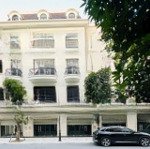 Shophouse sao biển mặt đường 20m sát khu cao tầng, công viên