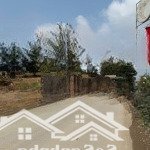 Bán gấp siêu phẩm 6000m2, bám mặt đường nhựa, cư yên, sát dự án beverly hill, đầu tư phân lô