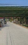 Siêu rẻ chỉ nhỉnh 700 triệu sở hữu ngay mảnh đất 119m đường to. lh 0981978433