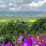 Bán 1079m2 đất nam hà ven đà lạt, view đẹp, sẵn thổ cư, ngay khu dân cư hiện hữu