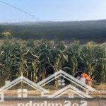 Bán đất tổ 34, đường chính bông giấy, thị trấn liên nghĩa, huyện đức trọng - giá 2.130 tỷ