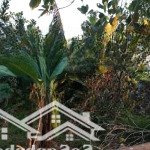 Bán đất lô góc 2 mặt đường bê tông, ô tô 5 - 7 chỗ vào đất, có sổ hồng giá chỉ 3 triệu/m2