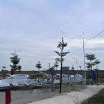 Siêu hot phiên đấu giá đất tráng việt, mê linh cơ hội vàng cho nhà đầu tư