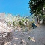 Bán nhanh 87m2 đất ngõ 1 phương đồng, xã phụng châu, chương mỹ ngay đh sp thể dục thể thao