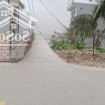 Rẻ giật mình lô đất phường hoàng lâm - thủy nguyên ngõ ôtô 7 chỗ - diện tích: 65m2 - ngang 5