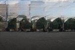 Bán 272m2 đất mặt tiền rộng 10m8 đường chính hữu, hướng tây, giá chính chủ đầu tư.