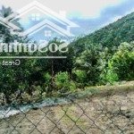 Bán lô đất vườn có suối phước sơn, phước đồng, nha trang