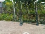 Chính chủ cần bán nhanh 125m2 đất, tại xuân đài, trường thọ, giá 1 tỉ299, ưu điểm gần trường, chợ