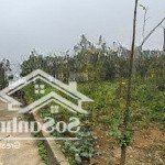 Cần bán lô đất 557m2 có 200 đất ở, sát xanh vilas, gần ga metro