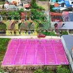 Bán 6 lô fo phường hoàng lâm , thủy nguyên , ngay gần khu công nghiệp nam cầu kiền.