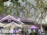 Bán gấp nhà mặt phố hàng vải 98m2, mặt tiền 14m, 5 tầng, thang máy nhập khẩu. kinh doanh sầm uất
