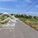 Cần bán gấp lô đất dh507 xã an linh phú giáo binh dương