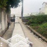 Cơ hội vàng đầu tư đẹp, đón sóng mê linh 2025!