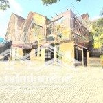 Cho thuê biệt thự mini đường dương quảng hàm, p6 - 21x20m trệt lầu sân rộng 300m2 siêu hiếm