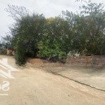 Siêu phẩm gần 500m2 lô góc tại vành đai trường đại học quốc gia- đối diện xanh villas và sát đại lộ