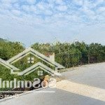 đón sóng metro5 chuyển nhượng khuôn viên 4500m2 nhà vườn giáp quần thể biệt thự hà nội tại hoà lạc