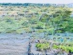 Bán gấp nền đất sổ đỏ 1.15 tỷ, vị trí đẹp. bán lỗ so với giá gốc mua từ cđt 0909.063.369