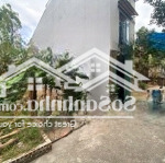 Bán đất thái bình, mai lâm, đông anh, hà nội, giá cực chất 3 tỷ, 62m2