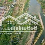 Bán mảnh vườn có sẵn cây ăn trái đang thu hoạch tại diên thọ - diên khánh - khánh hòa