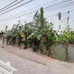 Trục chính, đầu tư, kinh doanh đỉnh sát các dự án quy hoạch lớn ở an thắng, biên giang, hđ