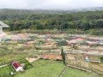 Rẻ nhất măng đen, kon plông hiện tại