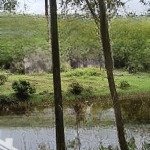 Cần bán gấp lô đất ven biển triệu phong 2.155m2 giá 2,1 tỷ rẻ hơn tt 40%