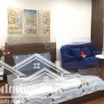 Cho thuê chdv phố đào tấn, ba đình