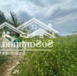 Cần chuyển nhượng 2097 m2 đất mặt tiền đường đt864 và sông, xã bình đức, châu thành, tiền giang