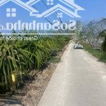 Bán 1300m2 đất lúa đường bê tông 4m view kênh thuộc ấp 7, phước tân hưng, diện tích: 30 x 43