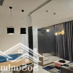 Cho thuê căn hộ 2pn, 70m2, giá tốt tại vinhomes golden river ba son, quận 1, hcm