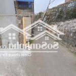 đón sóng dự án valasta hoà bình- thủy nguyên siêu phẩm đang chờ các nhà đầu tư